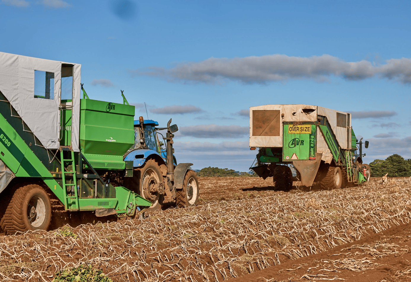 GF_BallaratFarm_091